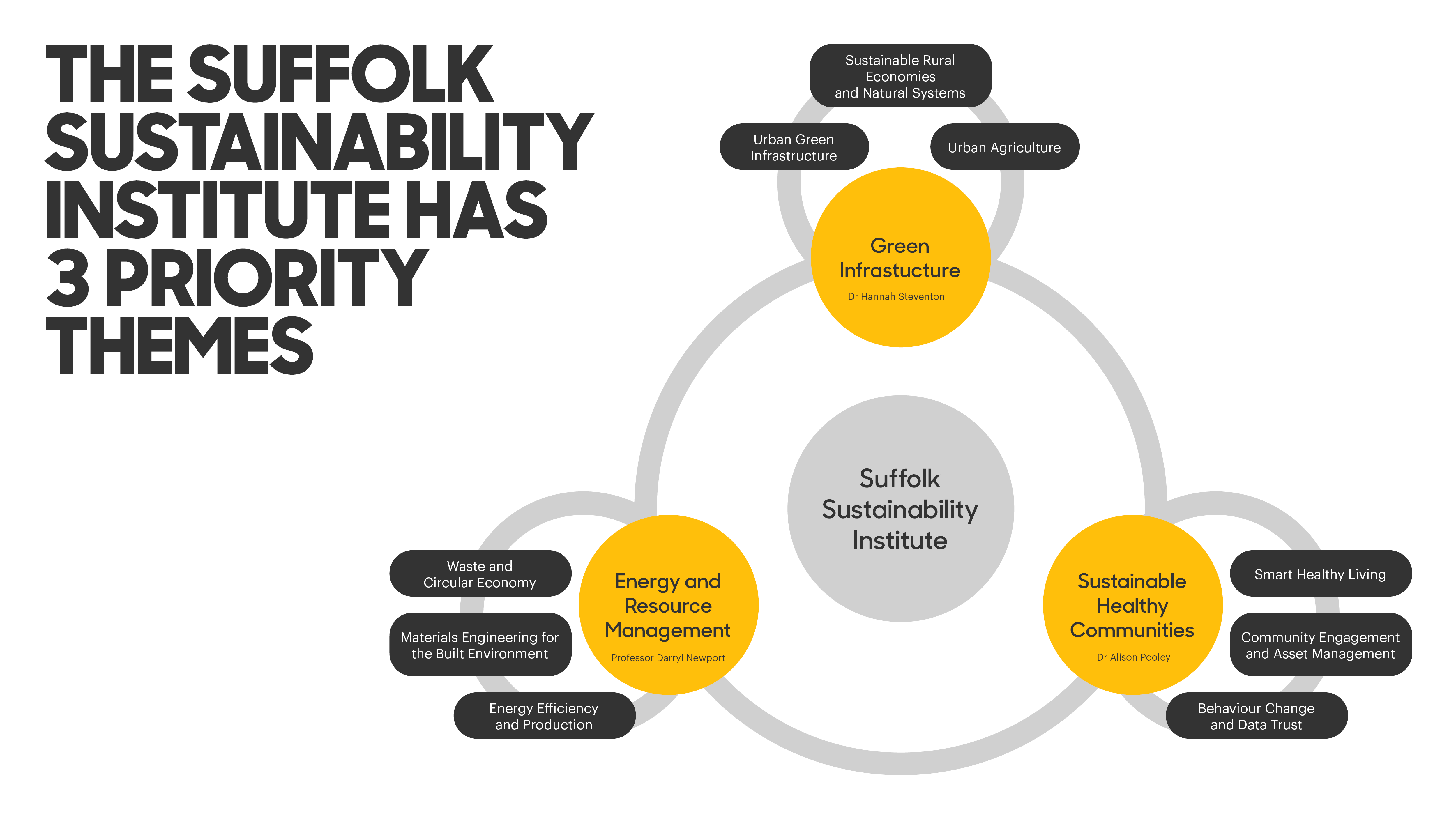 Suffolk Susitainability Institute Research Theme Diagram